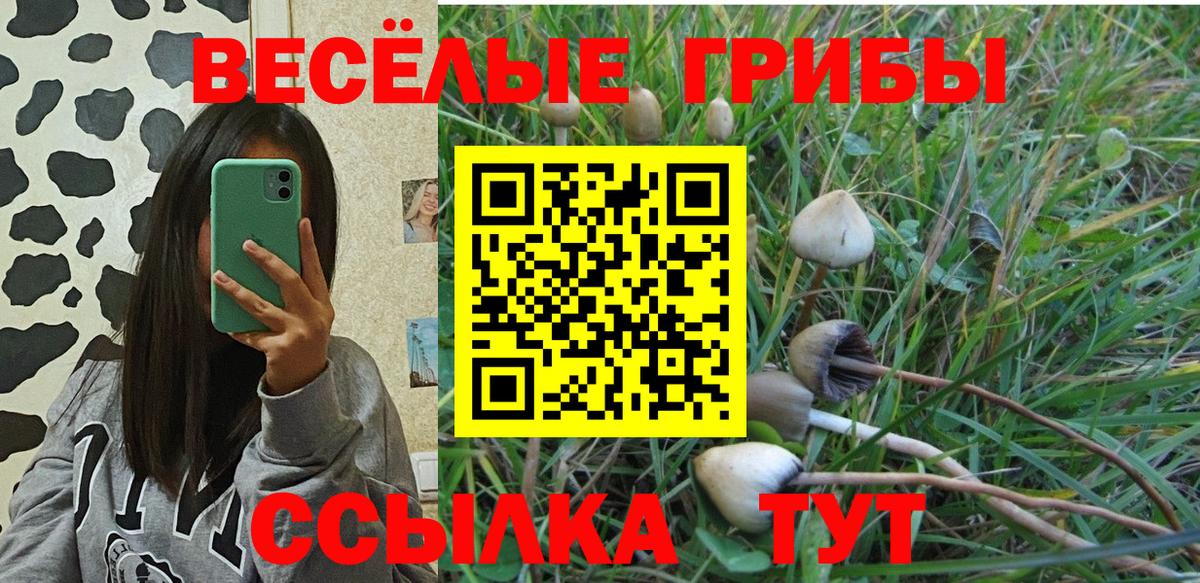 ГАШИШ  Бошки Шишки  АМФ   Жигулёвск  МЕТ  Меф МЯУ МЯУ кристаллы  Вход с VPN  Cocaine 