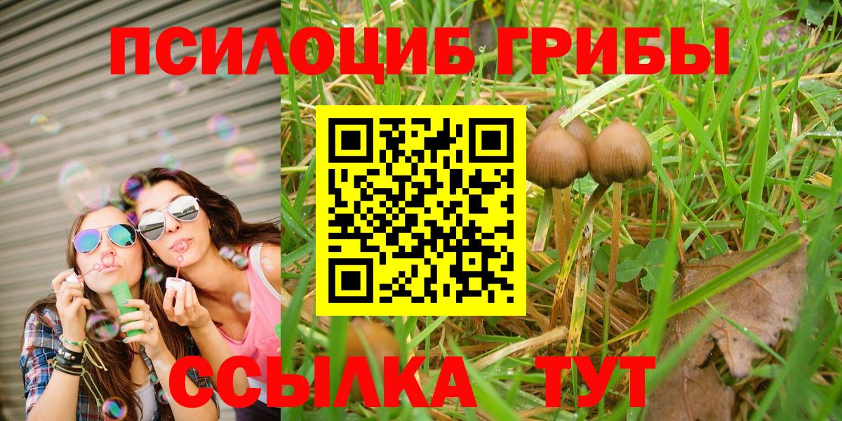 Галлюциногенные грибы мухоморы Жигулёвск