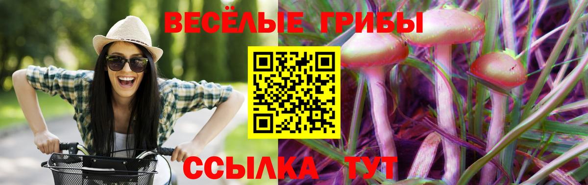 Жигулёвск  Псилоцибиновые грибы Cubensis  Вход с VPN 